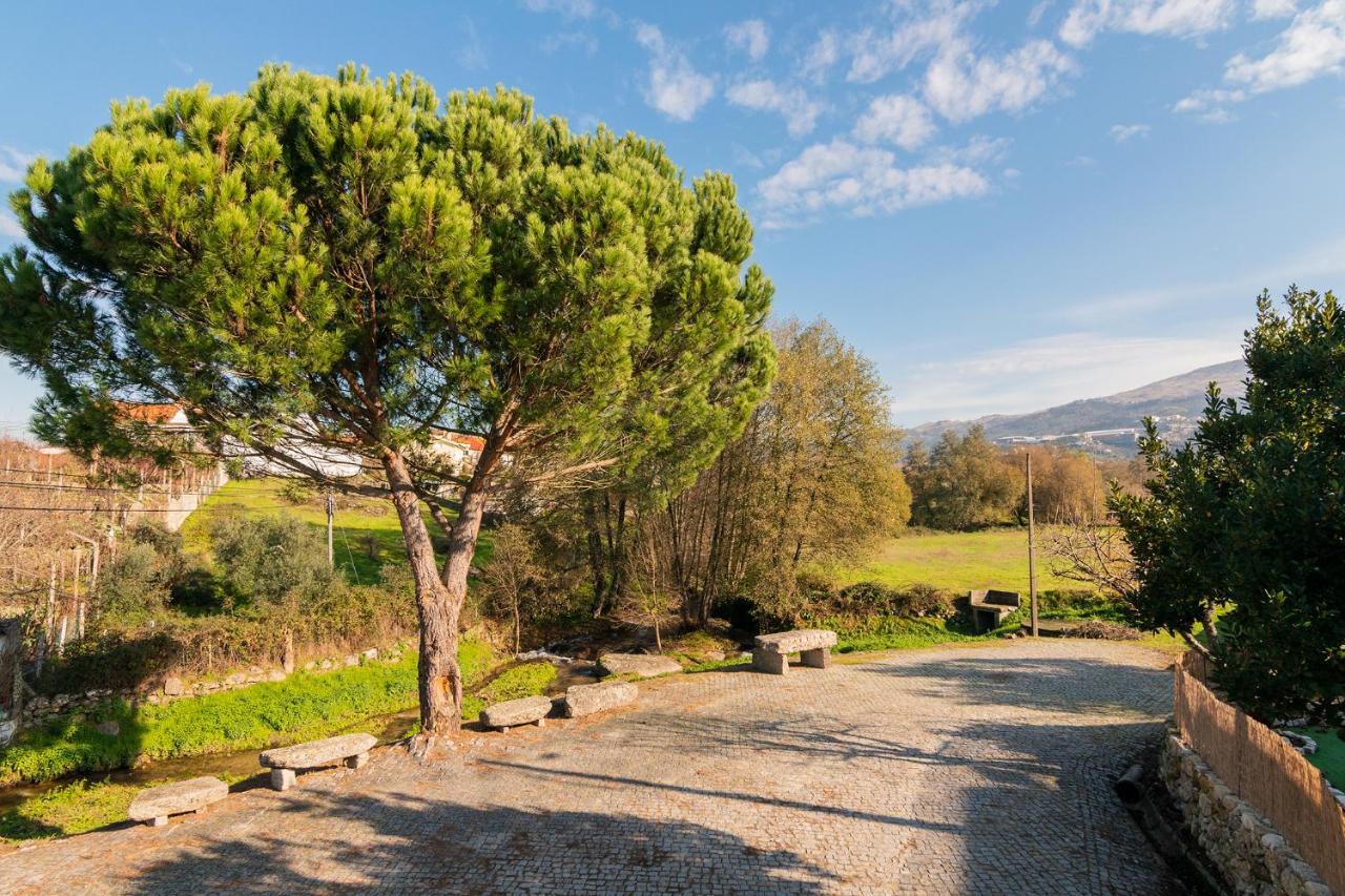 Casa Do Loureiro 1 - Seia - Serra Da Estrela Extérieur photo
